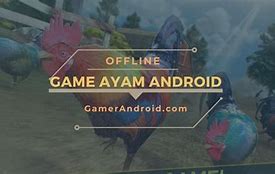 Nama Game Ayam Bertarung Android